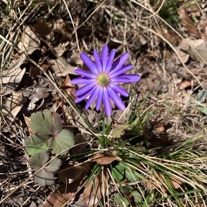 Meet your Posher, Becky